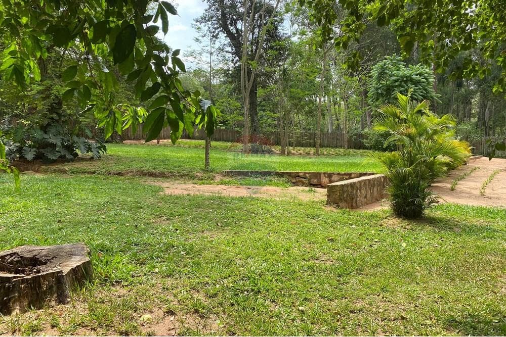 Atencion! Super Precio De Propiedad De 4238m2 En San Ber, foto 3