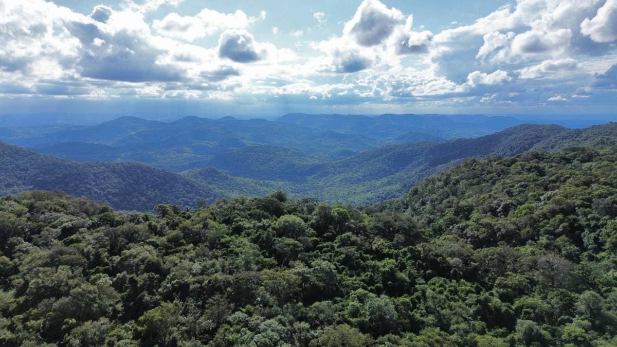 Propiedad en guaira cerro tres kandu, foto 1