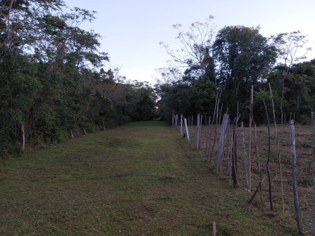 Terreno en venta – 1° de Marzo, Arroyos y Esteros, foto 3