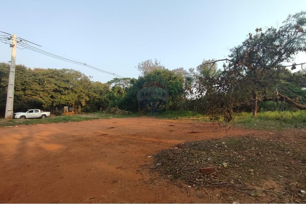 Terreno en Luque cañada garay, foto 3