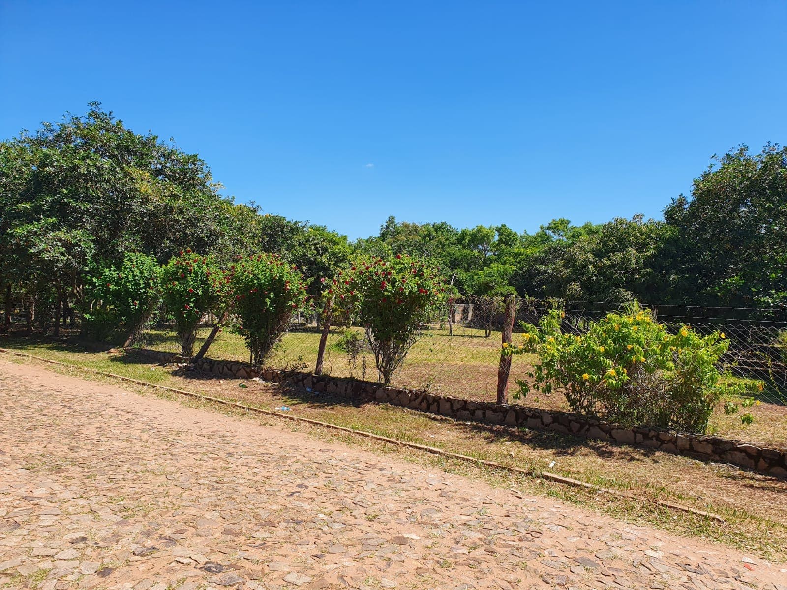 LOMA GRANDE: Exclusivo Terreno de 1.518 m² con Potencial Ilimitado