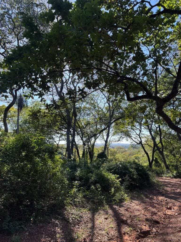 Oportunidad Única en Bosques de Hermann- Areguá, foto 2