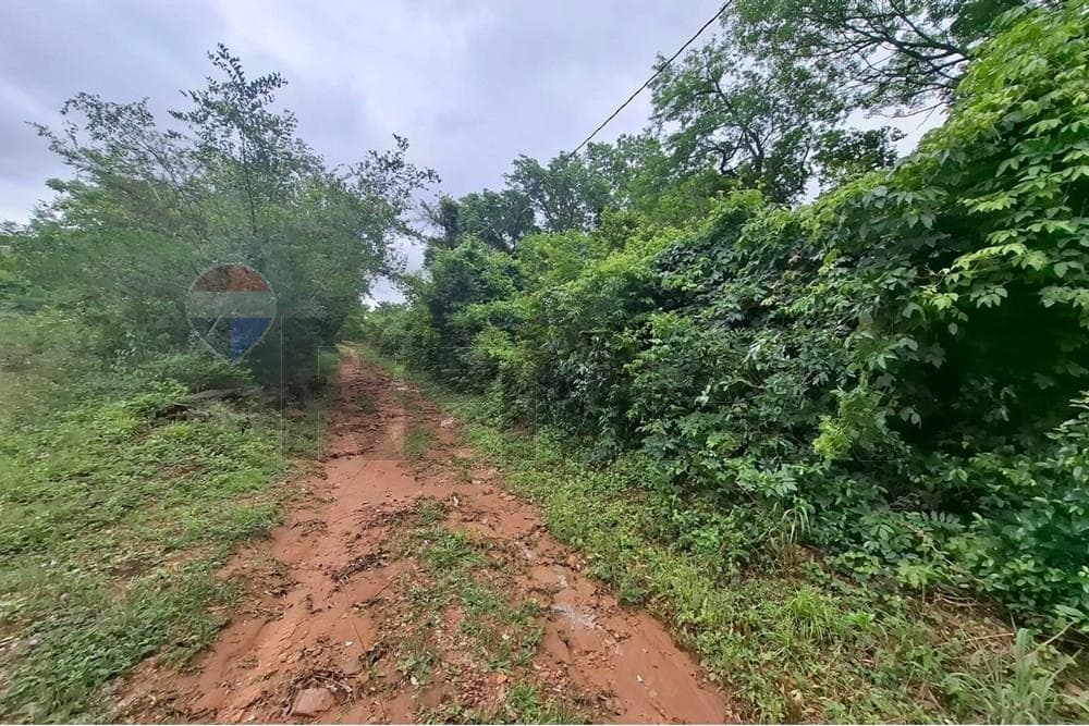 Terreno - Venta - Luque, Paraguay, foto 4