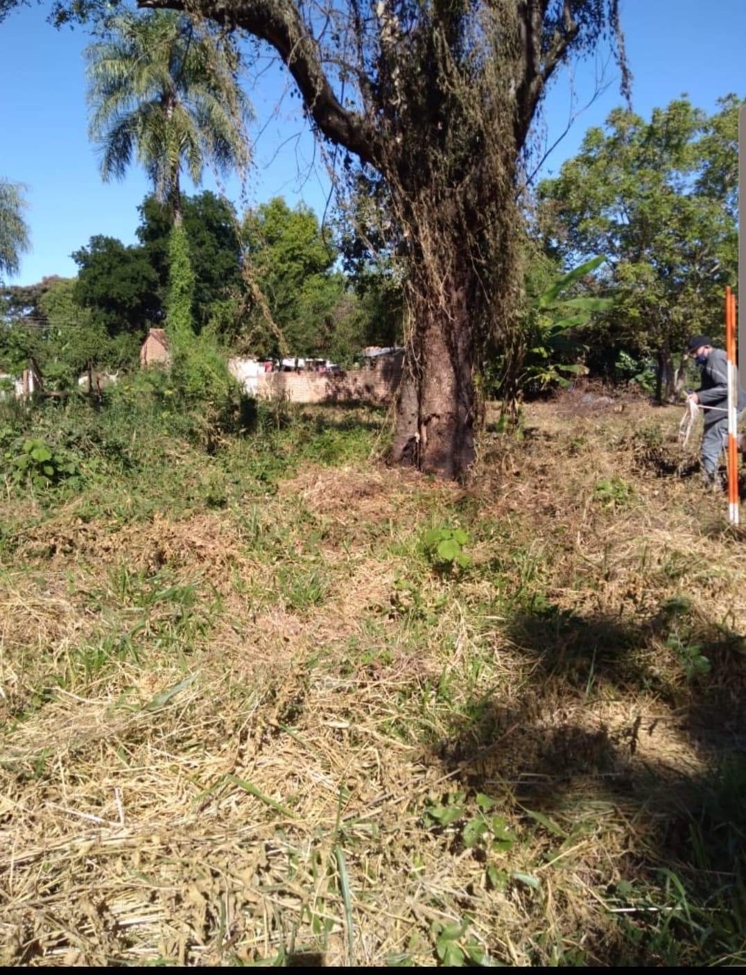 Terreno en Luque yka a, foto 4
