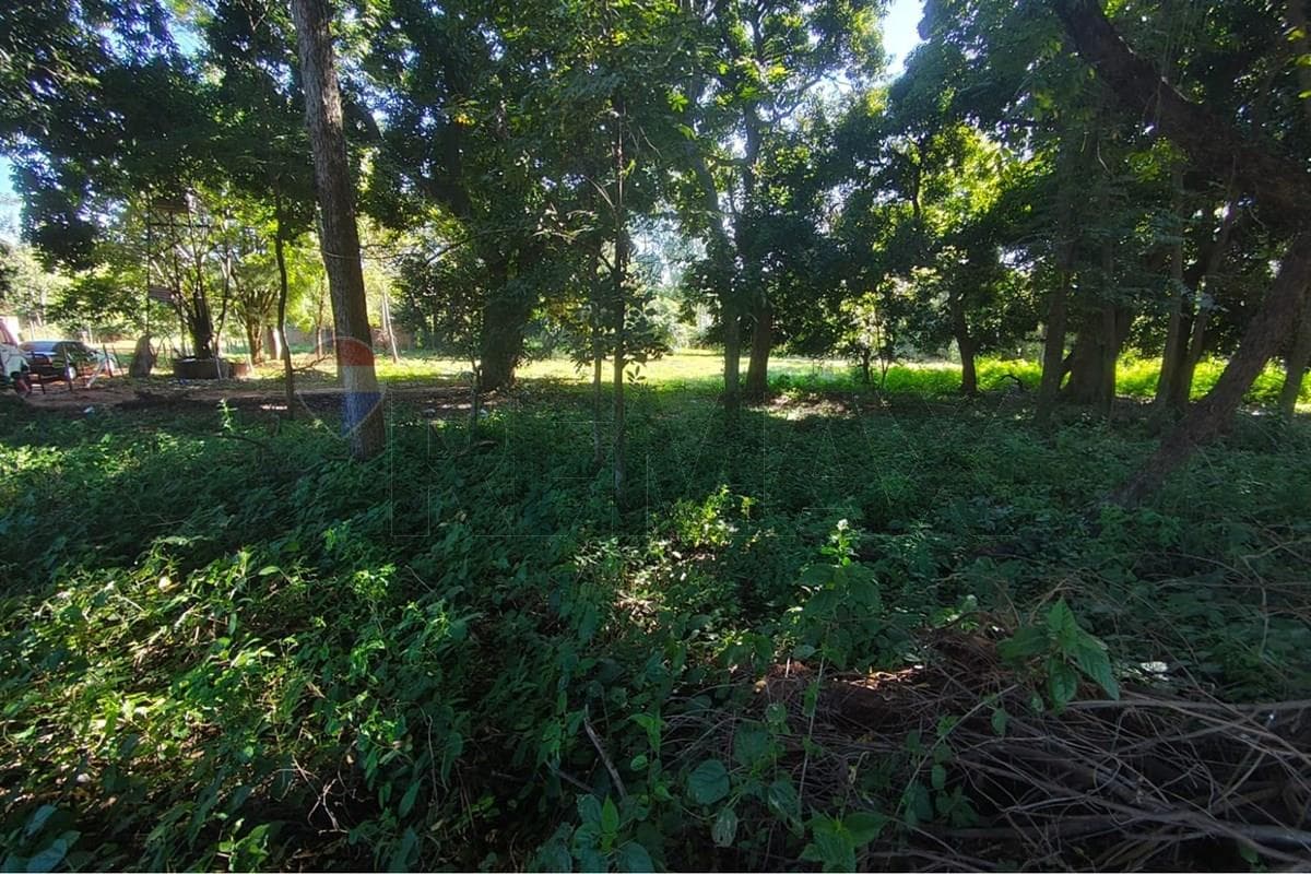 Terreno en capiata — foto 2