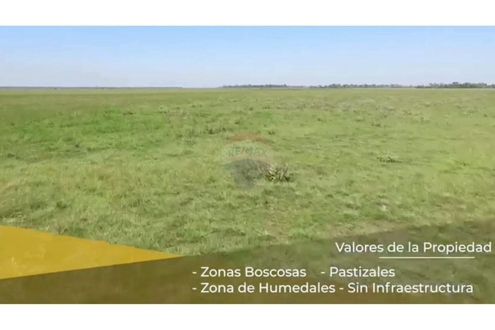 Campo en ñeembucu 1.200 hectareas, foto 5