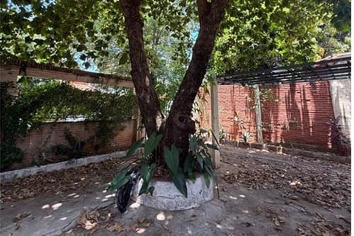 Propiedad en venta — las Carmelitas, Asunción, foto 4