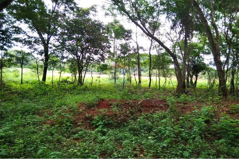 Terreno - Venta - Villeta, Paraguay, foto 5