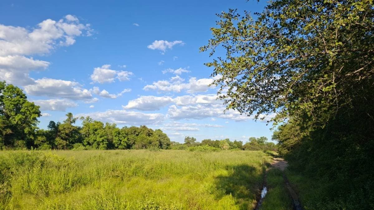 En venta campo con alto potencial — foto 3