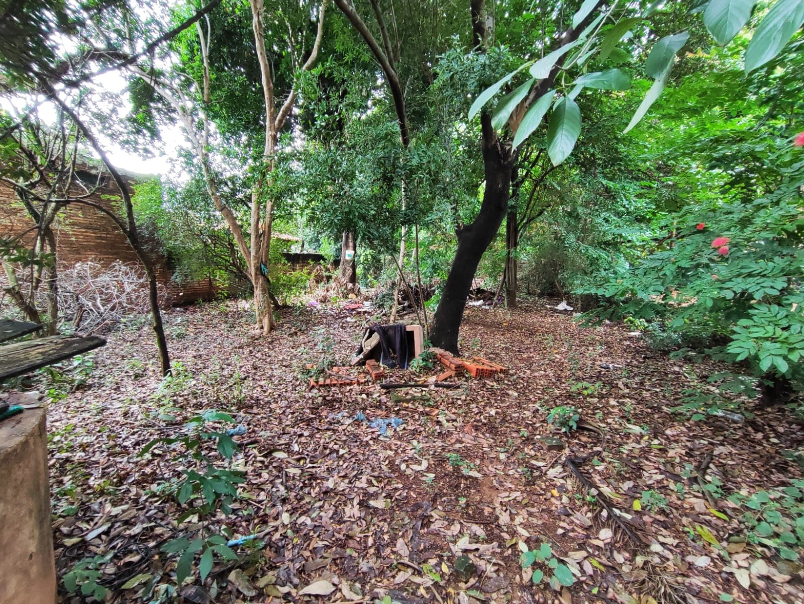 Terreno en campo grande Luque zona cit, foto 3