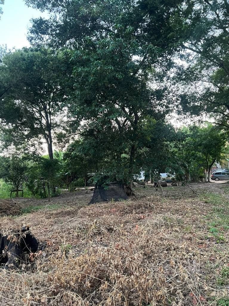 Terreno en Luque, foto 2