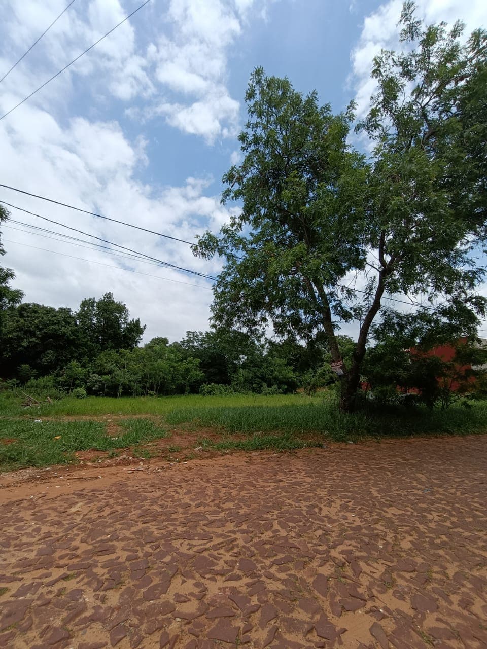 Vendo 3 Terrenos Juntos En Luque, Laurelty - Lla6630820