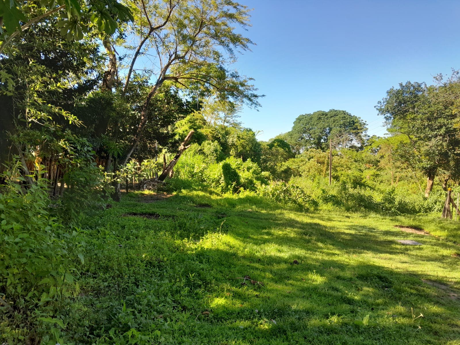 Amplio Terreno De 3.256 M2 En Capiatá, Rojas Cañada Zona Capsa