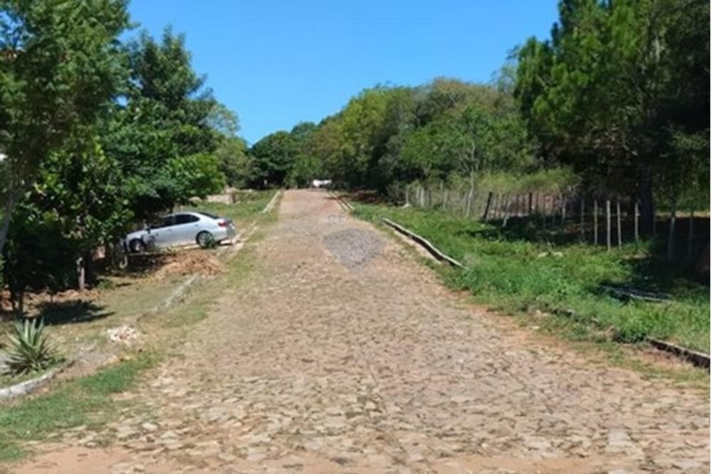 Terreno Ideal en Nueva Colombia: ¡Invierte Hoy!, foto 2
