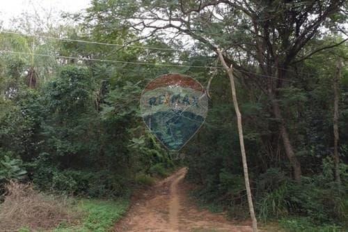 Campo- Arroyos y Esteros- Cordillera, foto 4