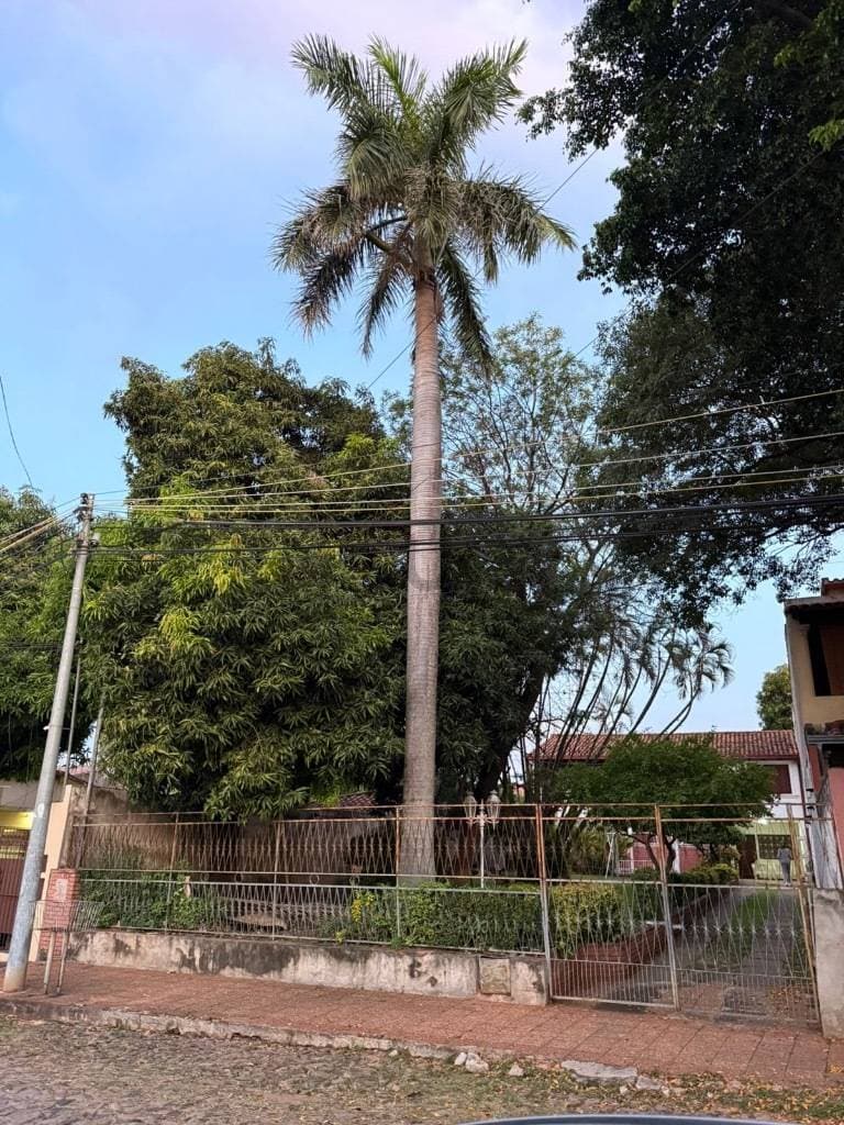 de Terreno en Tembetary, Asunción, foto 2