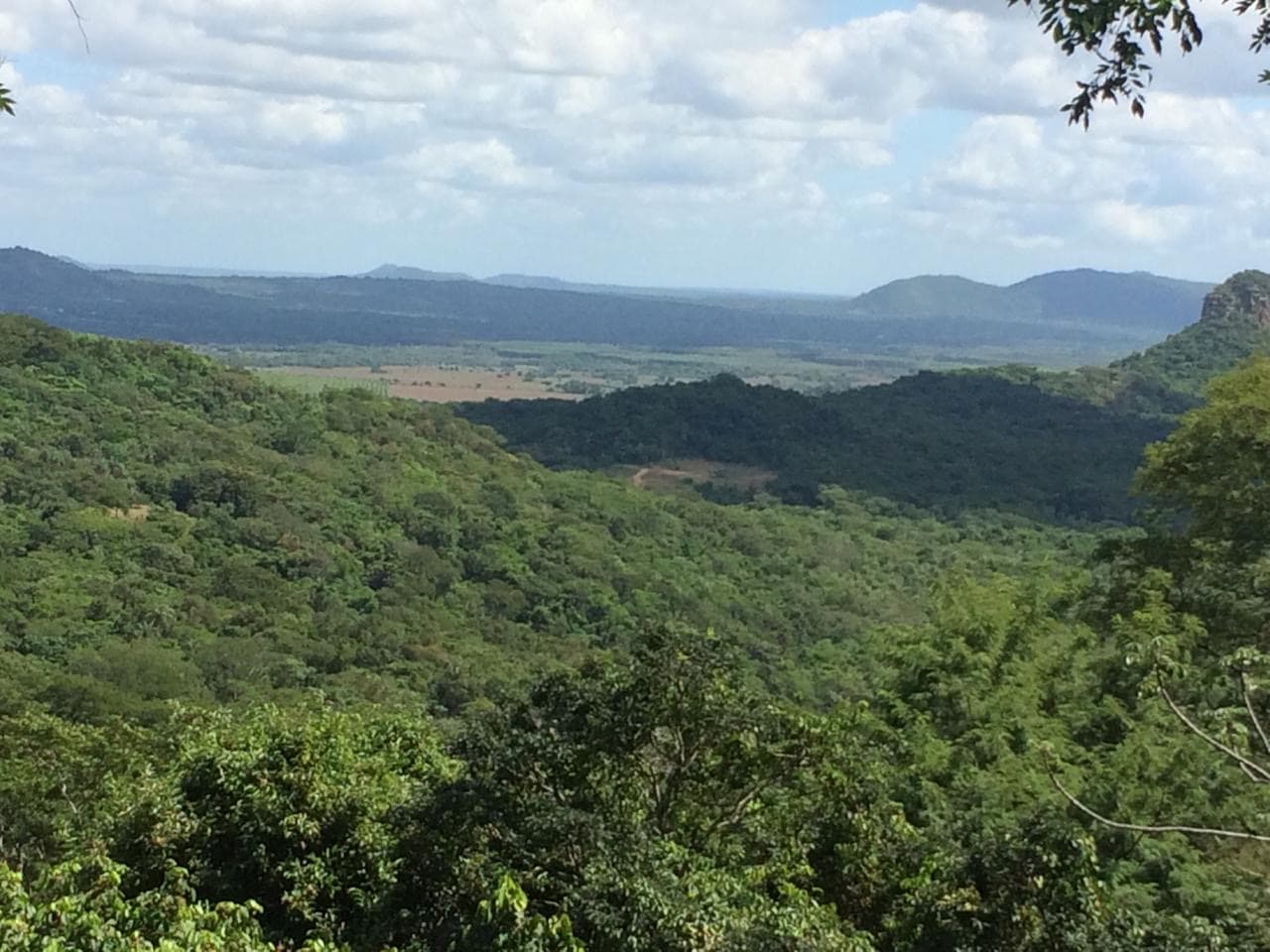 Propiedad de 10 hectáreas en Paraguari zona Mbatovi, foto 1