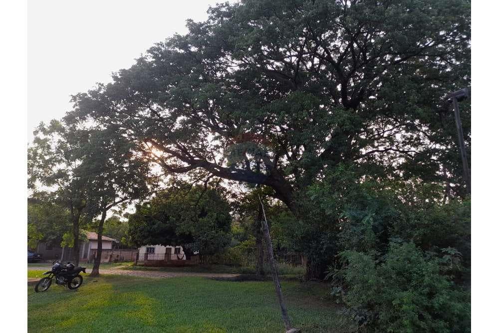 Casa en venta con dos terrenos bo tajasuape, foto 4
