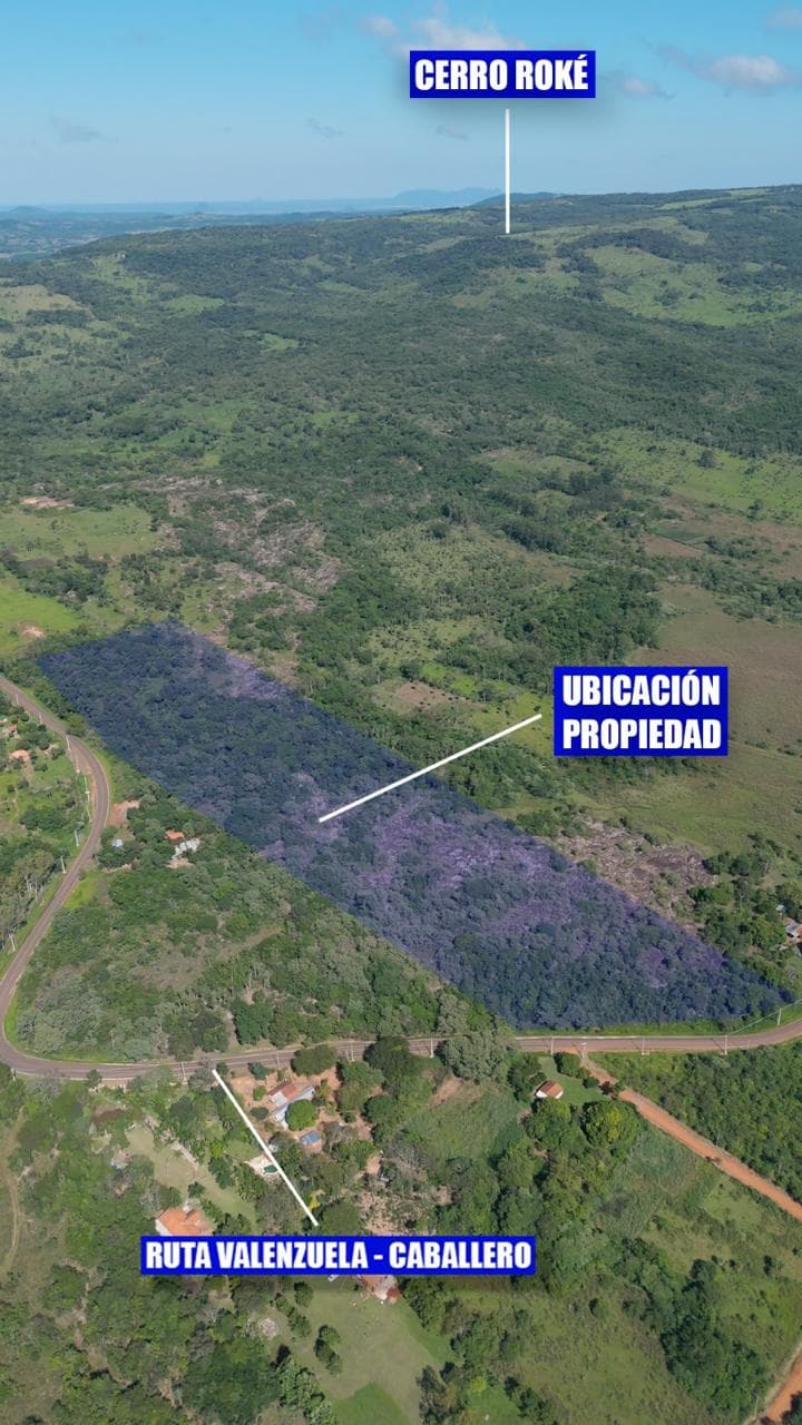 Ideal Inversiones de 6 hectáreas, Valenzuela, foto 5