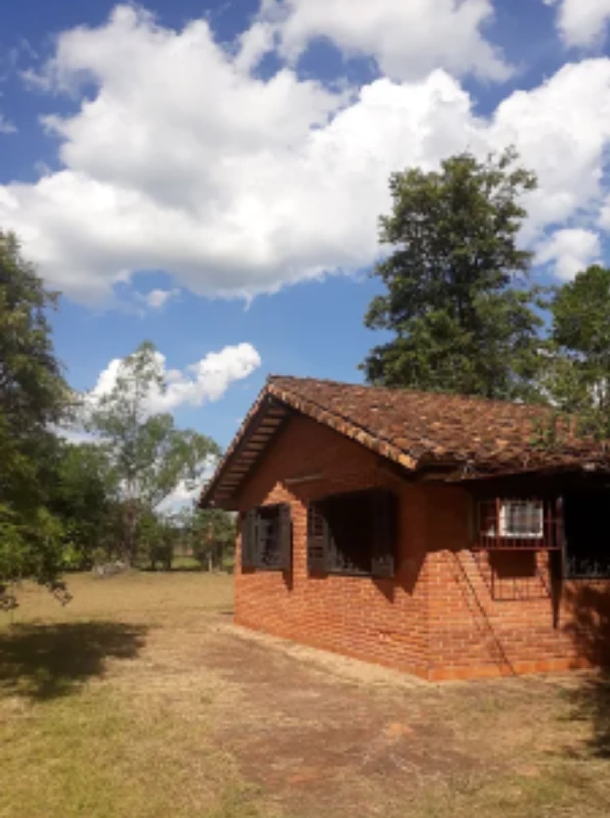 casa con amplio terreno en El Cortijo, foto 4