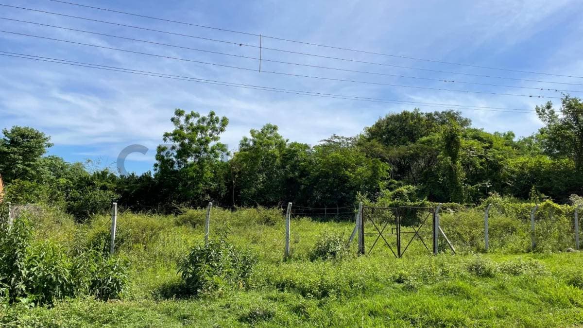 VENDE Terreno en Luque, zona Zarate Isla — foto 3