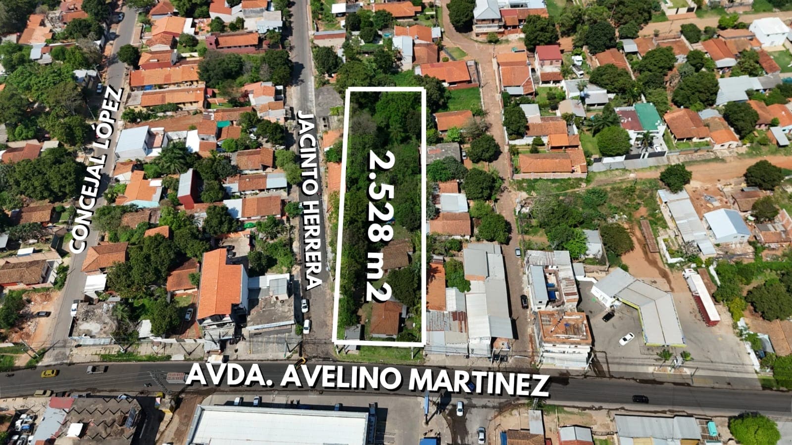 Amplio terreno de +2.500 m2. Sobre avelino martinez. San Lorenzo, foto 1