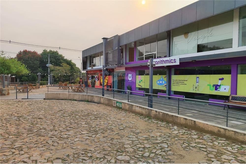 Importante paseo comercial en funcionamiento, foto 4