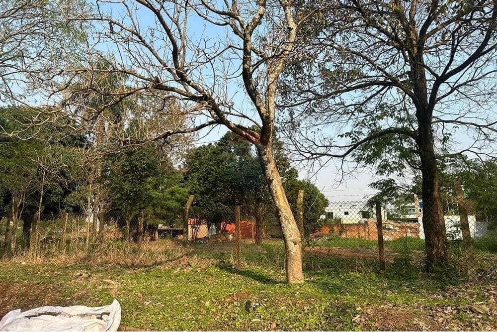Terreno en Ciudad del Este san jose 4.583 m2, foto 3
