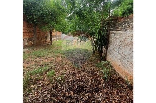 ¡Oportunidad de inversión de alto potencial!!, foto 3