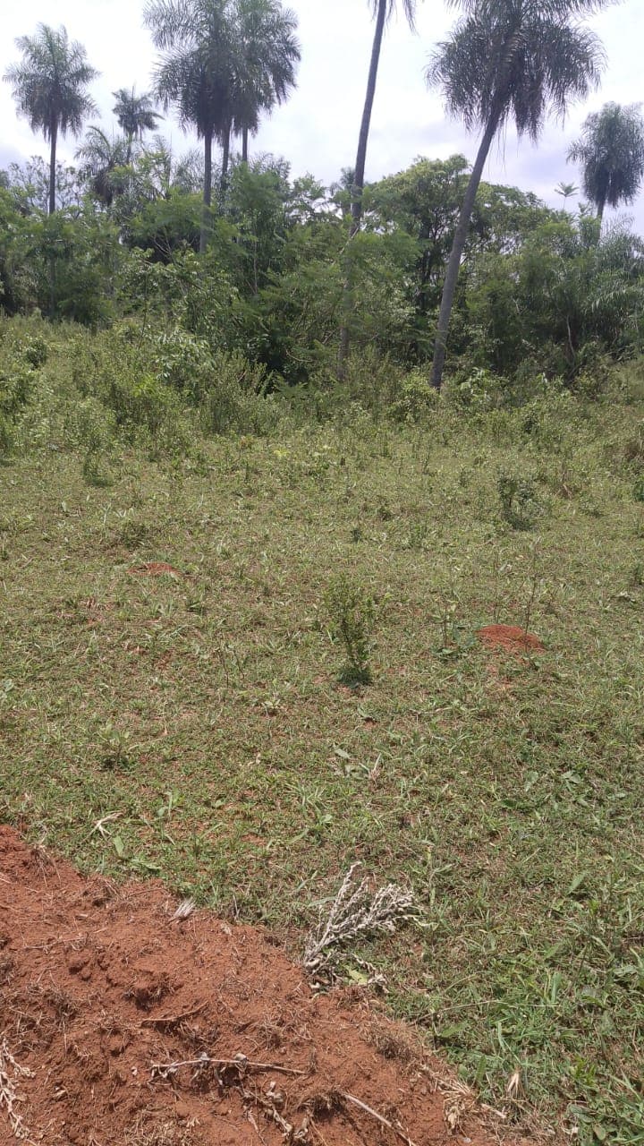 En venta 5 hectáreas en Dpto de Paraguarí, foto 2