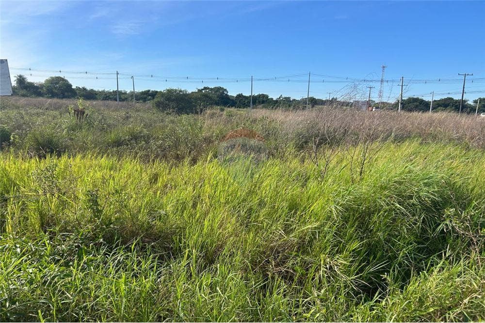 Terreno - Venta - Guarambaré, Paraguay — foto 4