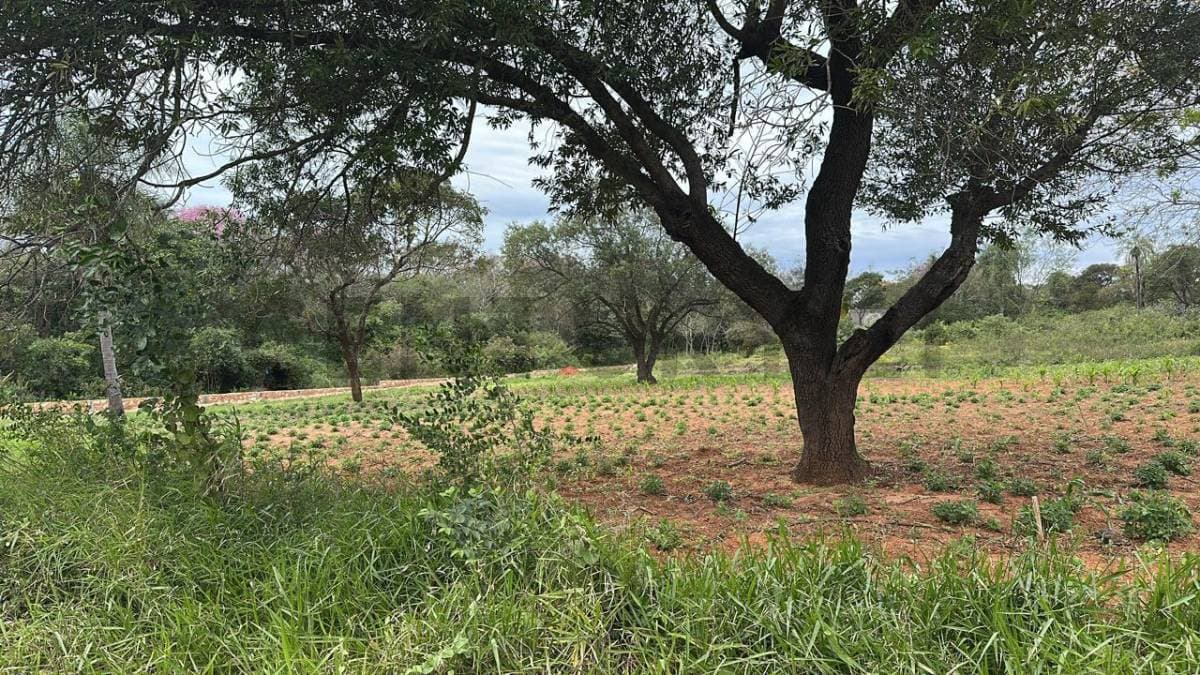 Venta de Terreno en Luque, Central