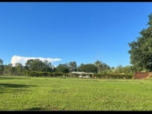Terreno en venta, coronel oviedo, foto 4