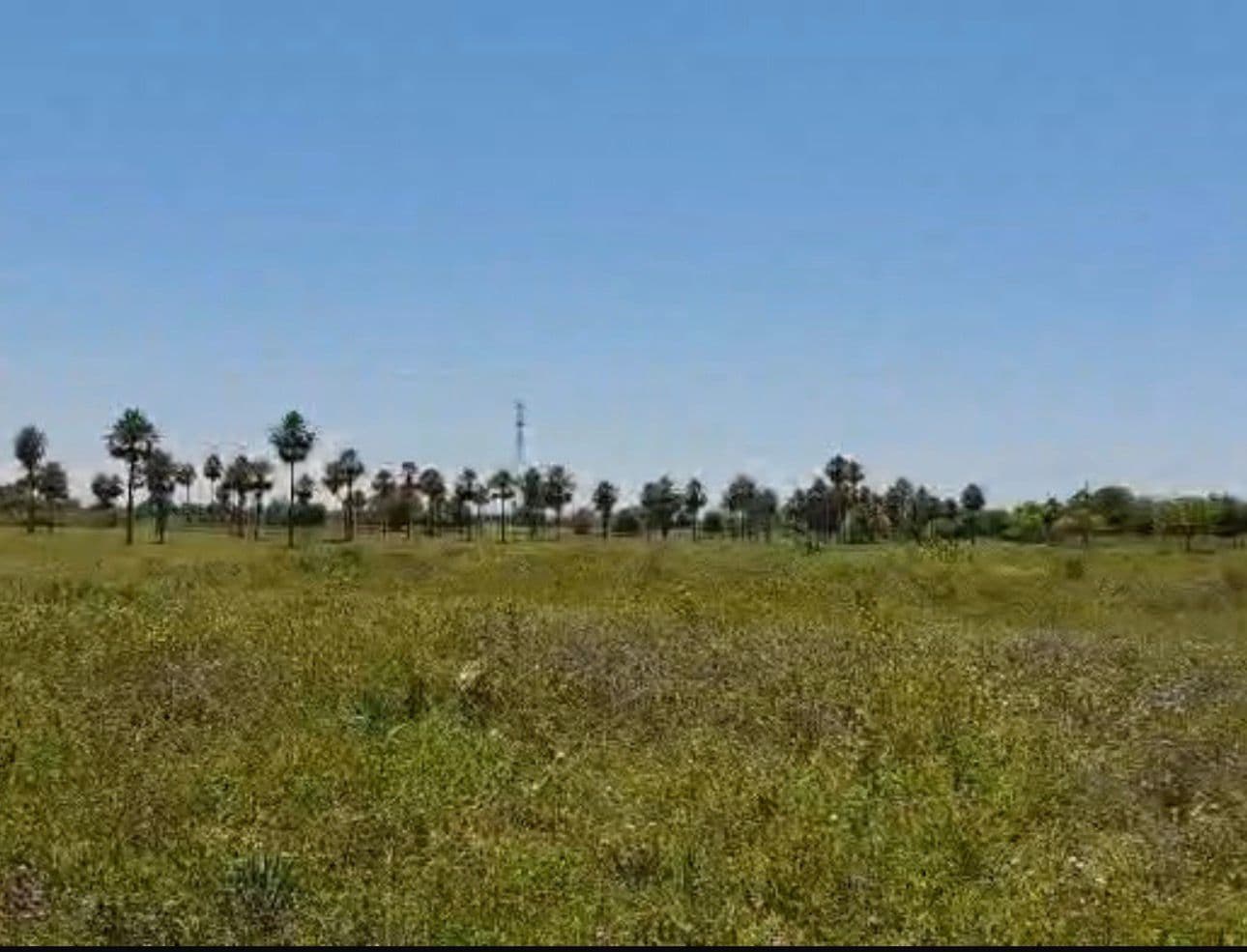 Terreno en chacoi, foto 2