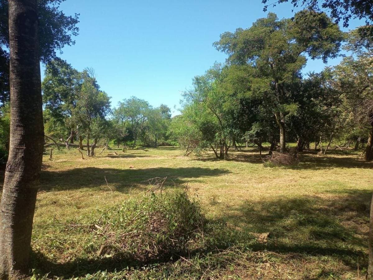 Terreno en San Bernardino- Fraccion ciervo cua- zona Heriberta Matiauda, foto 2