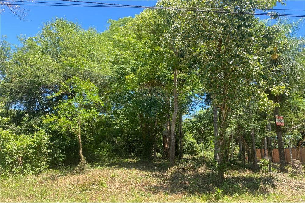 Terreno en Venta en San Bernardino, foto 2