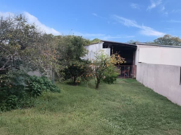 Gran terreno con tinglado en Lambaré, foto 2