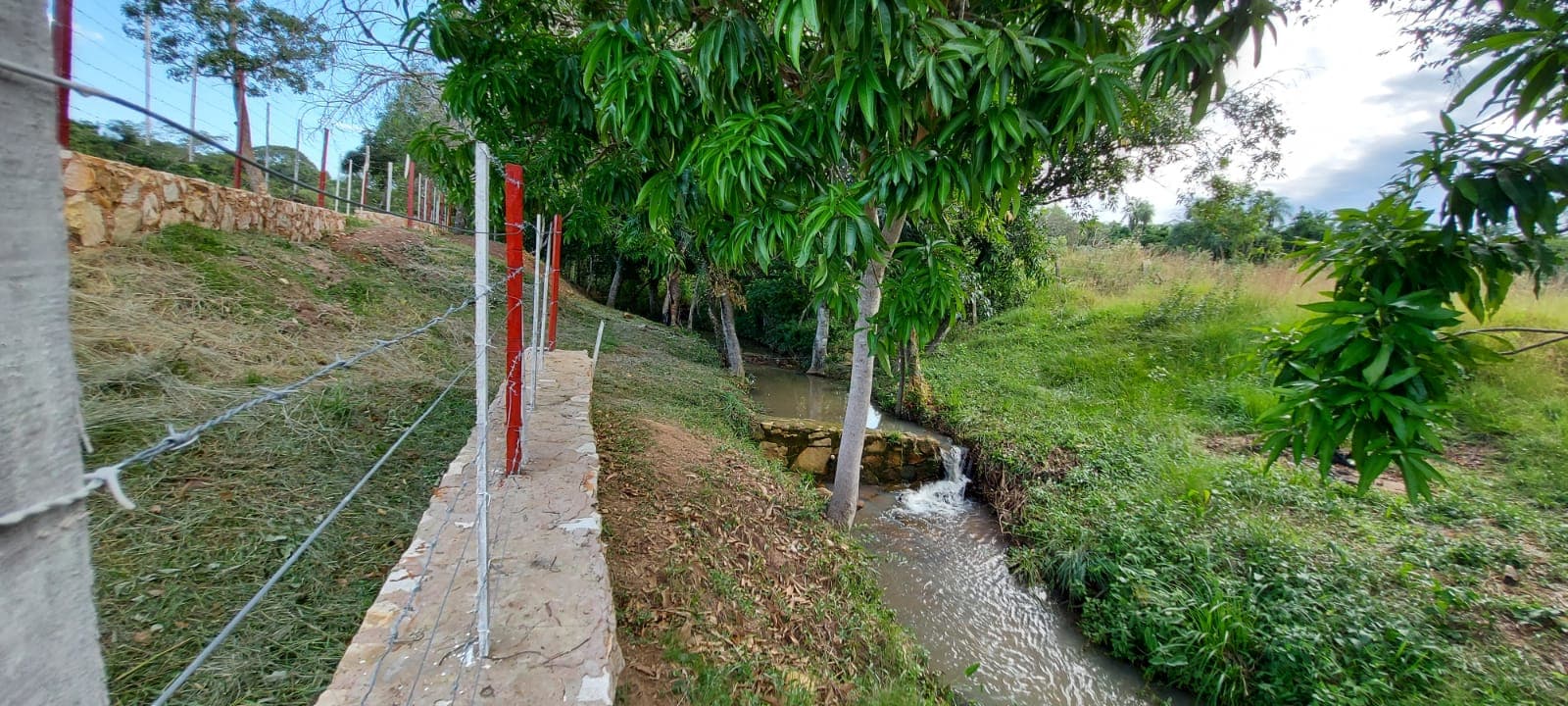 Terreno en altura con arroyo - centro nueva colombia, foto 4