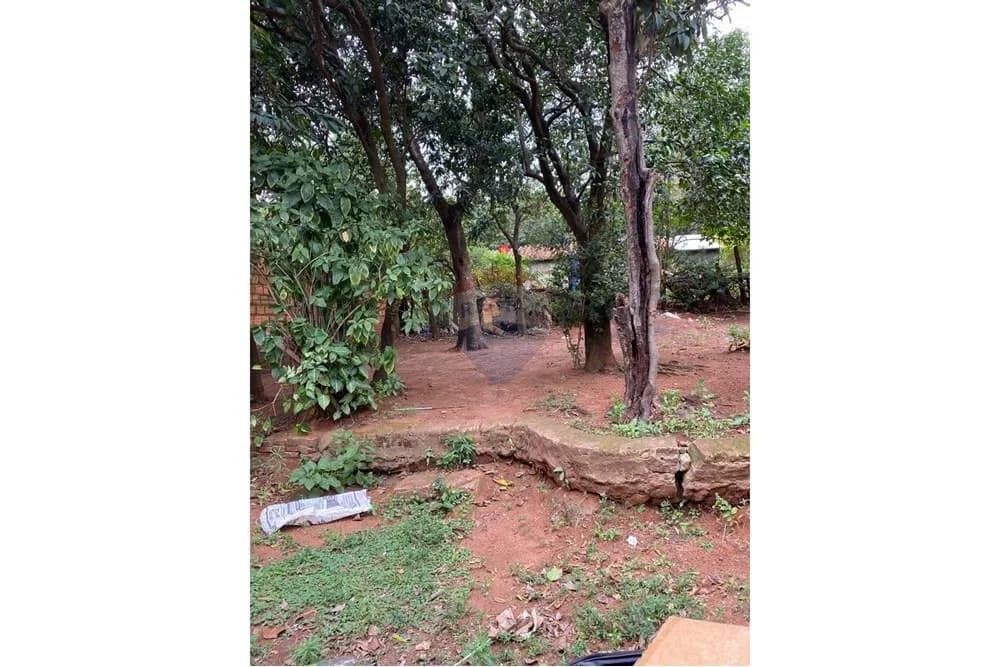 Terreno en San Lorenzo: ¡Construye Tu Hogar Ideal!, foto 3