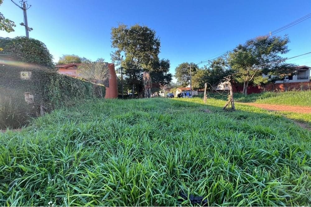 De terreno en isla bogado, Luque, foto 3