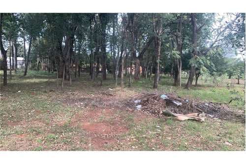Terreno-Venta-1ro de marzo, acceso sur, Mbokajaty, Ñemby, Central — foto 4