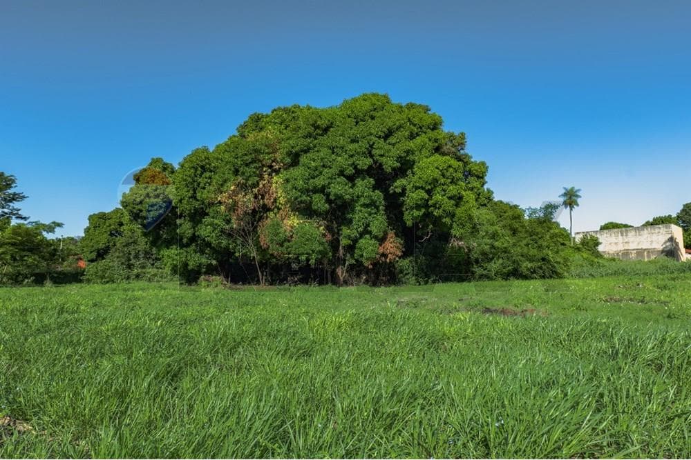 Terreno - Venta - San Lorenzo, Paraguay, No lo pierdas!, foto 3