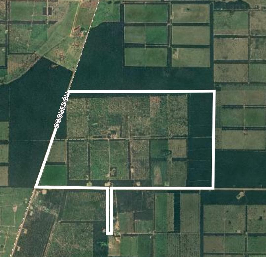 Campo de 1.224 Hectáreas en Campo Aceval - CLCS7939029, foto 1
