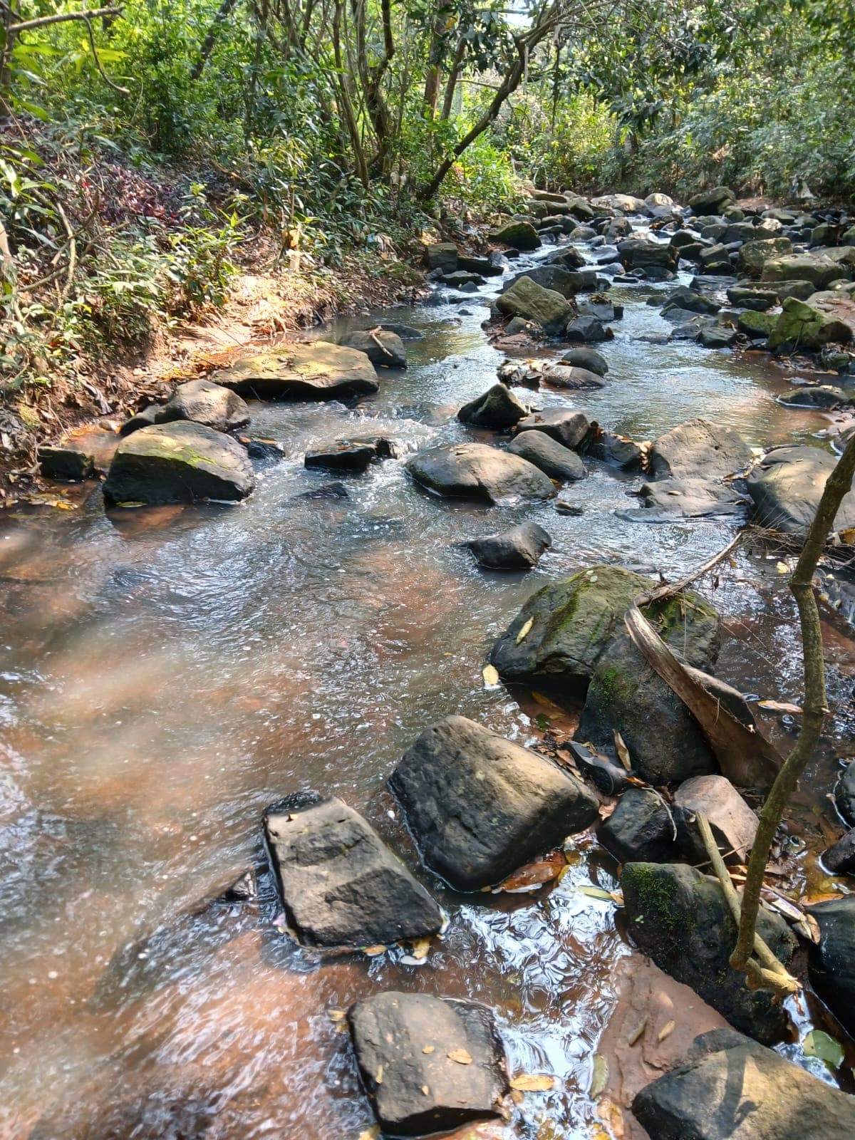 Terreno en la ciudad de altos, foto 5