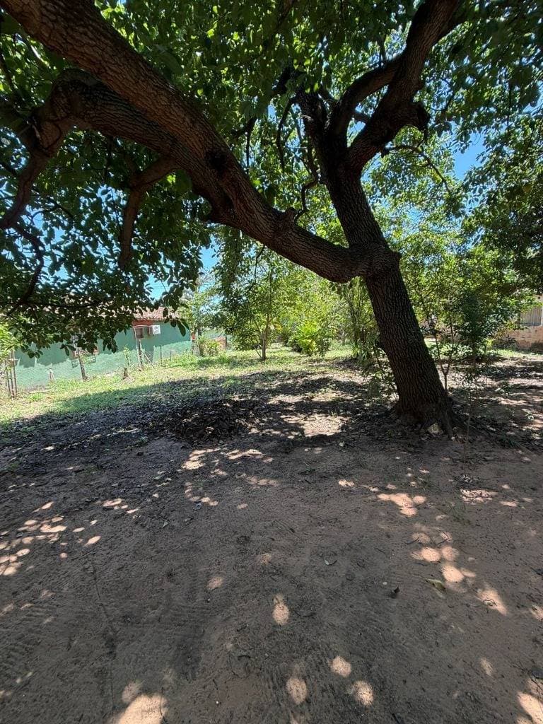 Terreno en venta – zeballos cué, Asunción, foto 3