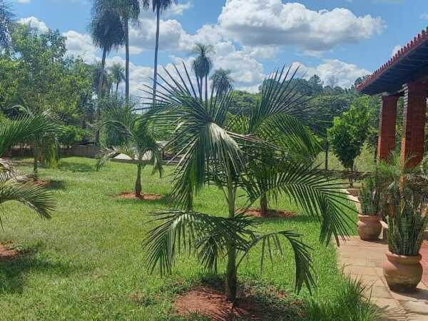Hermosa casa quinta en piribebuy, foto 3