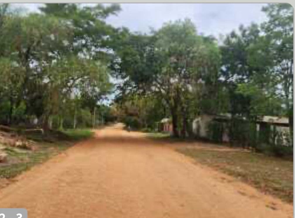 Dos terrenos juntos en ciervo cua, foto 2