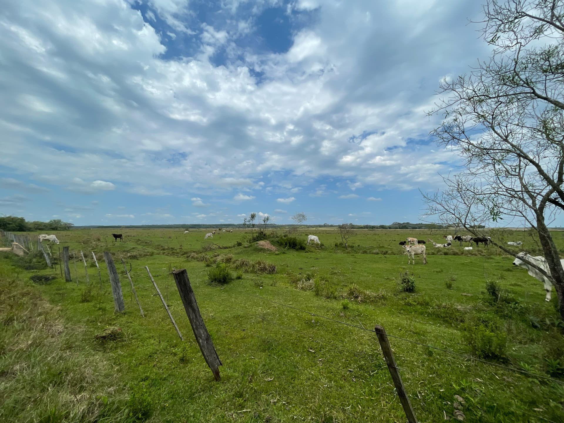 16 hectareas en Tobati - Loma Verde, foto 2