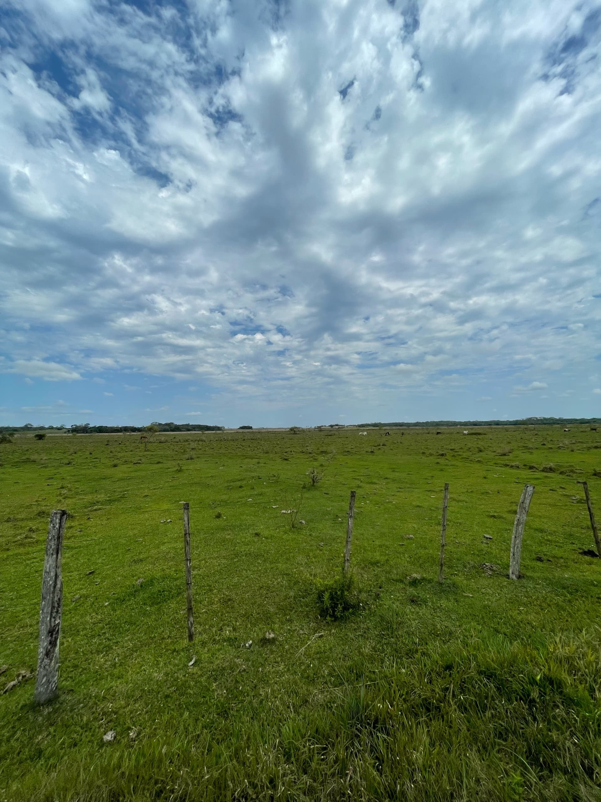 16 hectareas en Tobati - Loma Verde, foto 3
