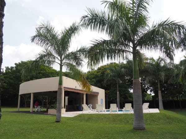 Amplia y arbolada casa quinta en Capiatá - km21, foto 3